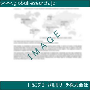 グローバルリサーチ調査資料のイメージ
